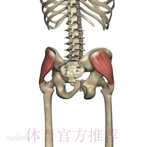 官方:克罗斯左臀中肌受伤 具体伤缺时间待定